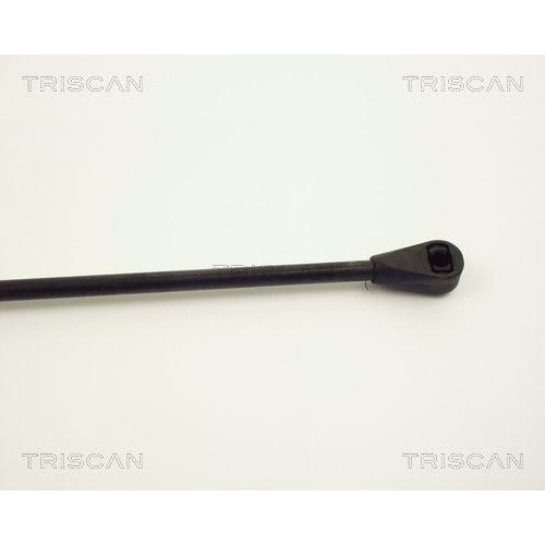 TRISCAN Gasfeder, Koffer-/Laderaum 8710 2504