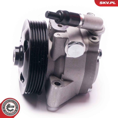 ESEN SKV Hydraulikpumpe, Lenkung 10SKV215