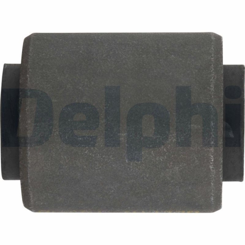 DELPHI Lagerung, Achsstrebe TD450W