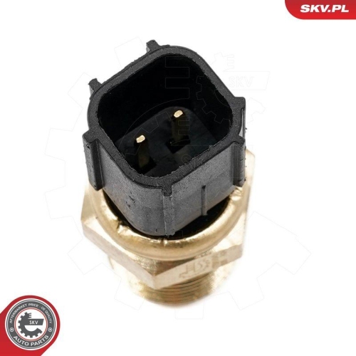 ESEN SKV Sensor, K&uuml;hlmittelstand 17SKV843