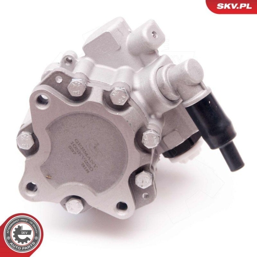 ESEN SKV Hydraulikpumpe, Lenkung 10SKV220