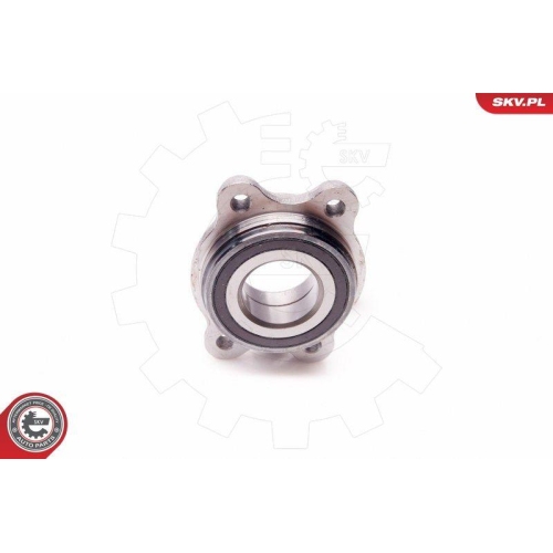 ESEN SKV Radlagersatz
