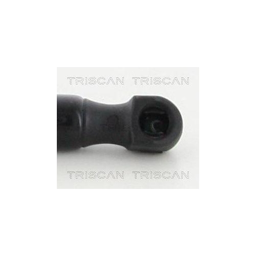 TRISCAN Gasfeder, Koffer-/Laderaum 8710 25266