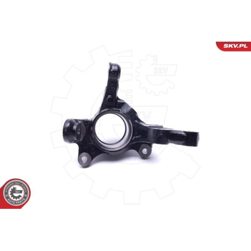 ESEN SKV Achsschenkel, Radaufhängung 47SKV621