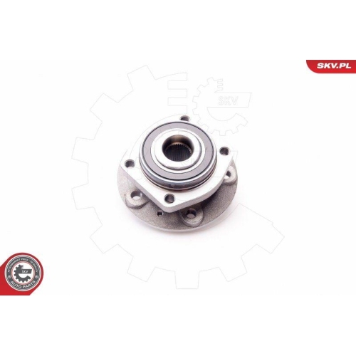 ESEN SKV Radlagersatz