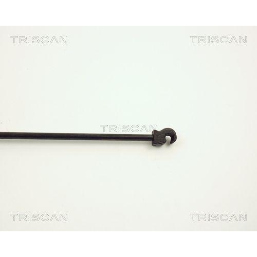 TRISCAN Gasfeder, Koffer-/Laderaum 8710 2706