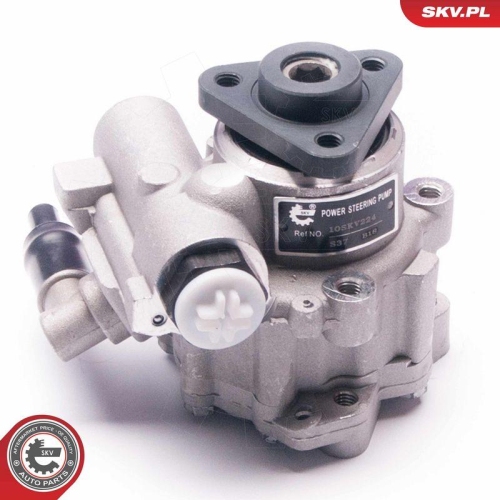 ESEN SKV Hydraulikpumpe, Lenkung 10SKV224
