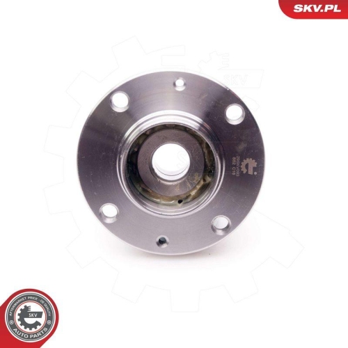 ESEN SKV Radlagersatz 29SKV093