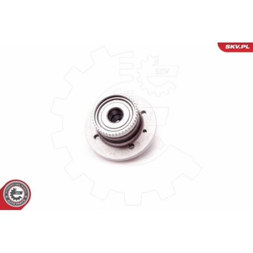 ESEN SKV Radlagersatz