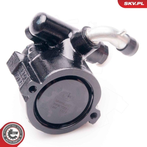 ESEN SKV Hydraulikpumpe, Lenkung 10SKV229