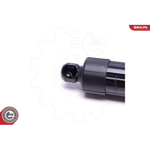 ESEN SKV Elektromotor, Heckklappe 52SKV920