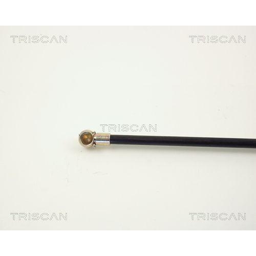 TRISCAN Gasfeder, Koffer-/Laderaum 8710 2719