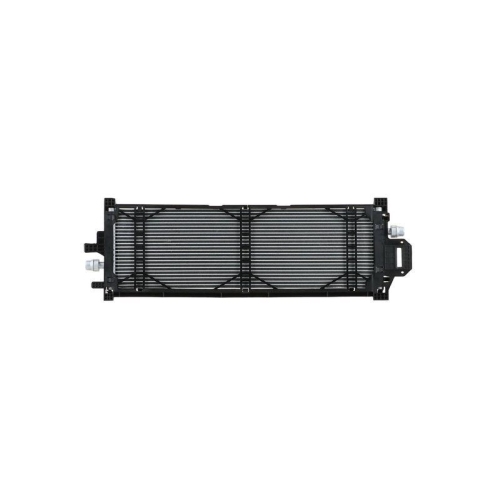 HELLA K&uuml;hler, Motork&uuml;hlung 8MK 366 303-211