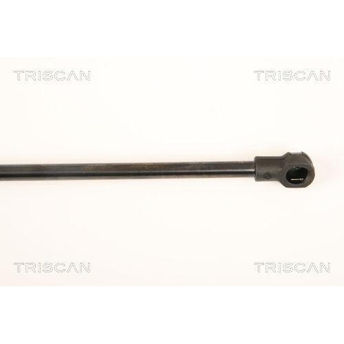 TRISCAN Gasfeder, Koffer-/Laderaum 8710 27220