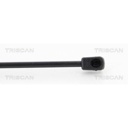 TRISCAN Gasfeder, Koffer-/Laderaum 8710 27224