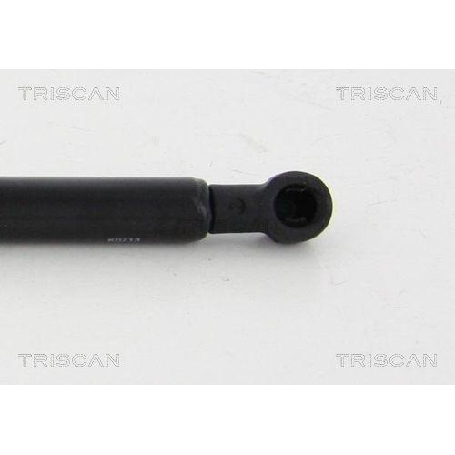 TRISCAN Gasfeder, Koffer-/Laderaum 8710 27225