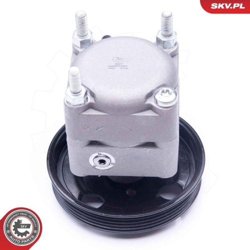 ESEN SKV Hydraulikpumpe, Lenkung 10SKV257