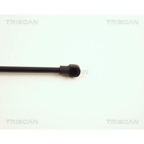 TRISCAN Gasfeder, Koffer-/Laderaum 8710 28220