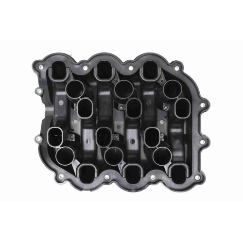 VAICO Saugrohr, Luftversorgung Original VAICO Qualität V25-2269