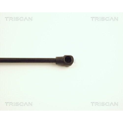 TRISCAN Gasfeder, Koffer-/Laderaum 8710 28221