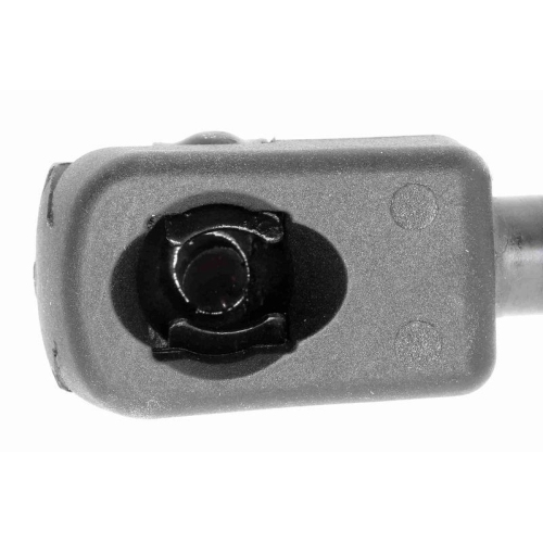 VAICO Gasfeder, Koffer-/Laderaum Original VAICO Qualität