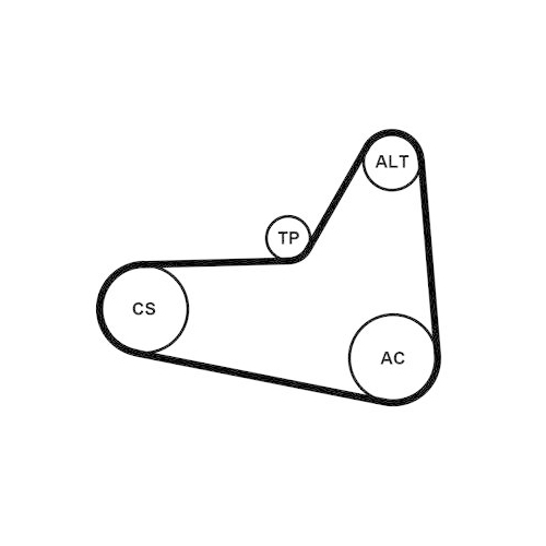 CONTINENTAL CTAM Keilrippenriemensatz 6PK1045K4