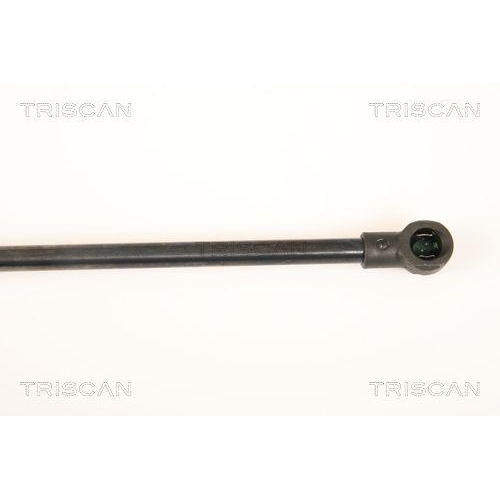 TRISCAN Gasfeder, Koffer-/Laderaum 8710 28234