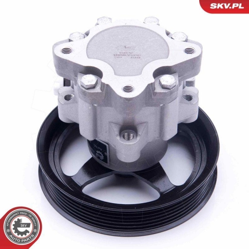ESEN SKV Hydraulikpumpe, Lenkung 10SKV266