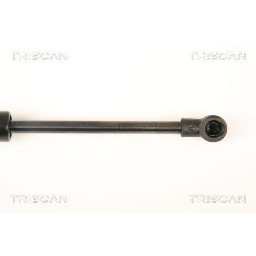 TRISCAN Gasfeder, Koffer-/Laderaum 8710 28241