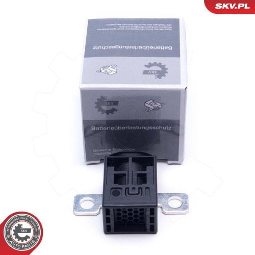 ESEN SKV &Uuml;berspannungsschutzger&auml;t, Generator 96SKV318