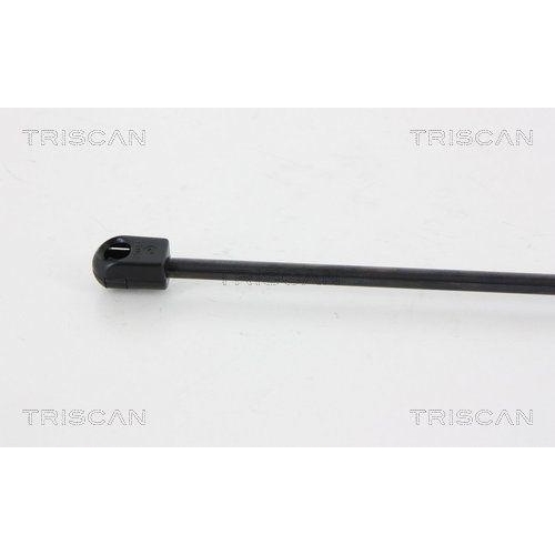 TRISCAN Gasfeder, Heckscheibe 8710 28246