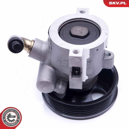 ESEN SKV Hydraulikpumpe, Lenkung 10SKV279
