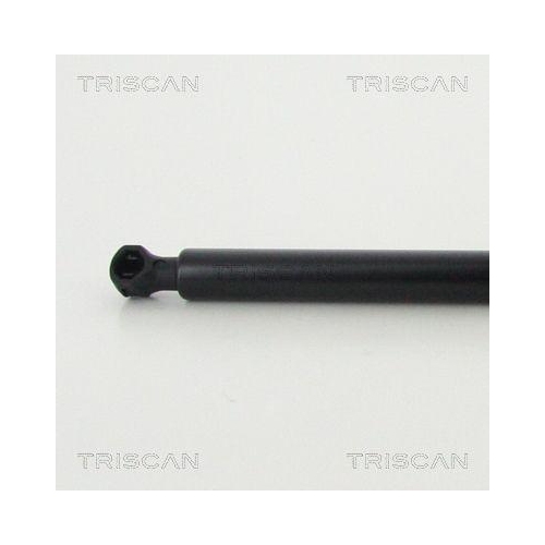 TRISCAN Gasfeder, Koffer-/Laderaum 8710 28248