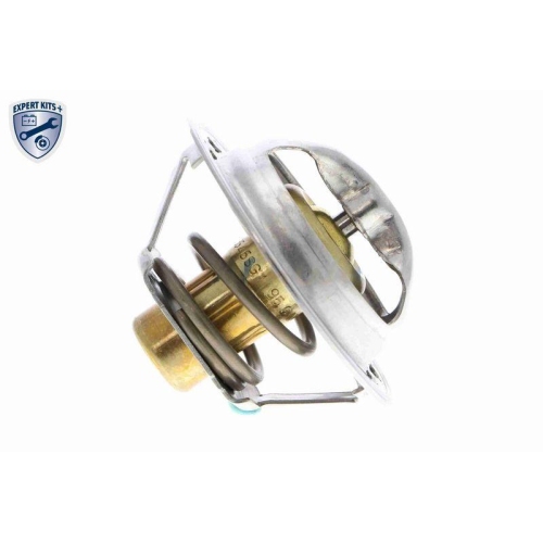 ACKOJA Thermostat, K&uuml;hlmittel EXPERT KITS + A38-99-0015