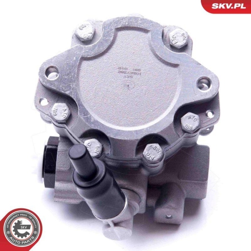 ESEN SKV Hydraulikpumpe, Lenkung 10SKV282