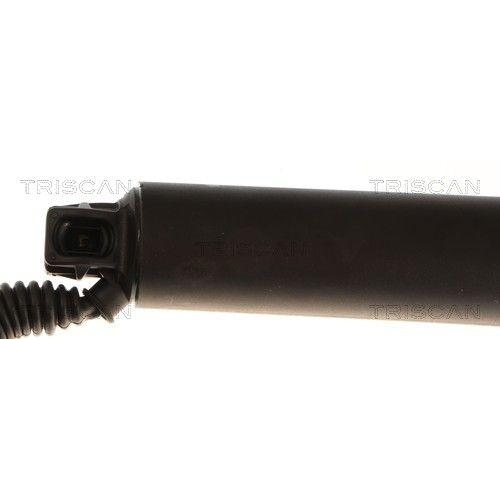 TRISCAN Gasfeder, Koffer-/Laderaum 8710 29341