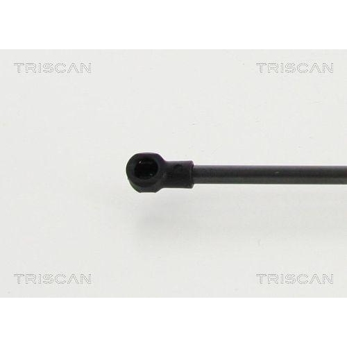 TRISCAN Gasfeder, Koffer-/Laderaum 8710 292015