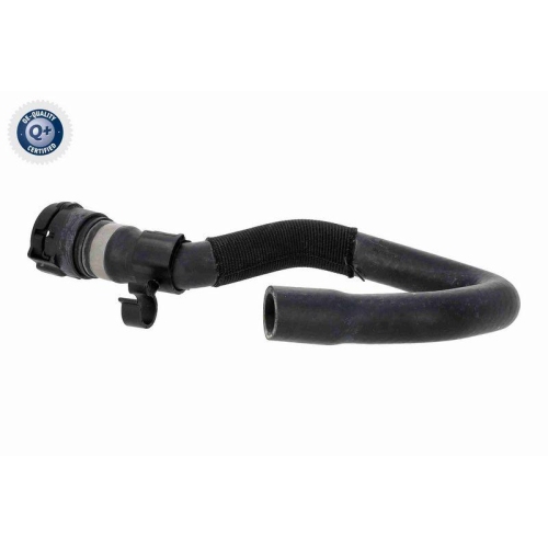 VAICO Kühlerschlauch Q+, Erstausrüsterqualität V10-4889