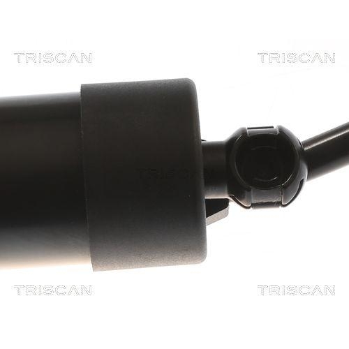 TRISCAN Gasfeder, Koffer-/Laderaum 8710 27308