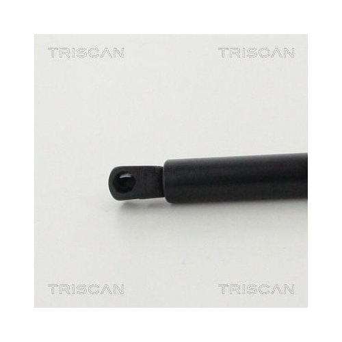 TRISCAN Gasfeder, Koffer-/Laderaum 8710 292036
