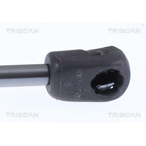 TRISCAN Gasfeder, Koffer-/Laderaum 8710 292061