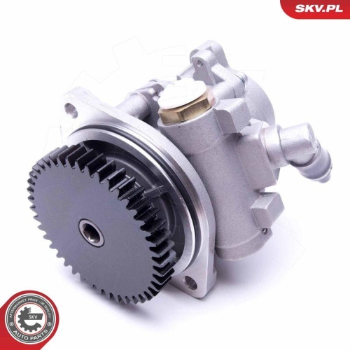ESEN SKV Hydraulikpumpe, Lenkung 10SKV289