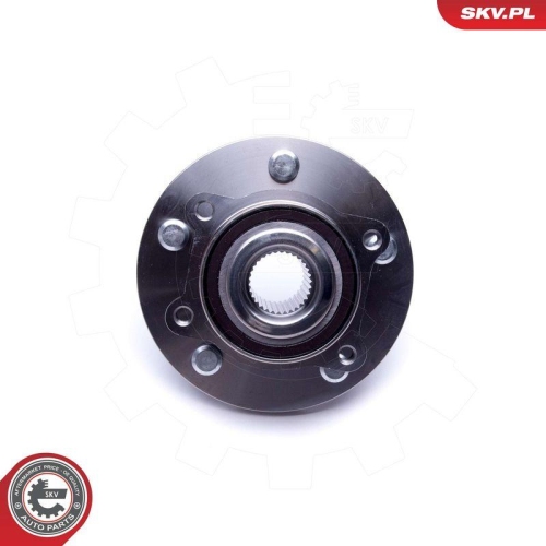 ESEN SKV Radlagersatz 29SKV393
