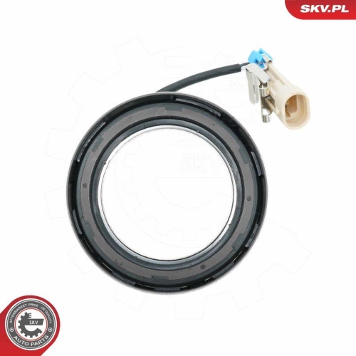 ESEN SKV Sensor, Raddrehzahl 06SKV421