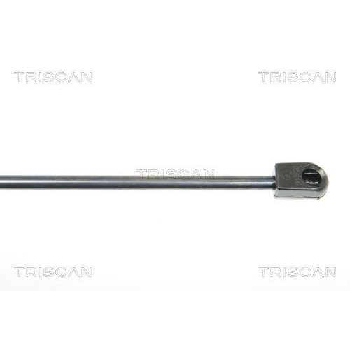 TRISCAN Gasfeder, Koffer-/Laderaum 8710 29282