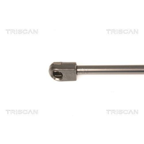 TRISCAN Gasfeder, Koffer-/Laderaum 8710 29295