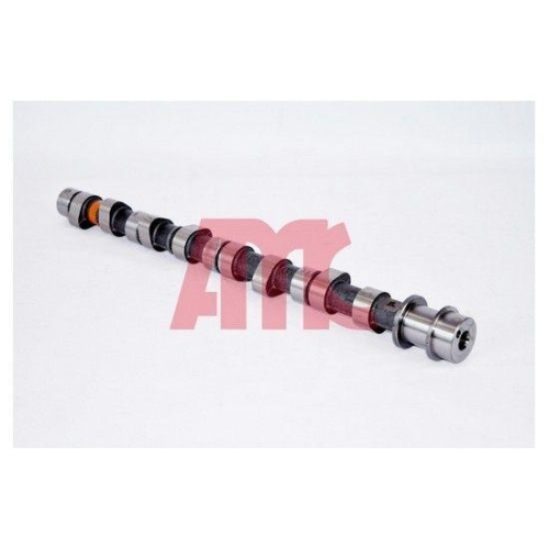 AMC Nockenwelle 665842