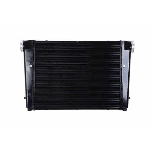 HELLA Ladeluftk&uuml;hler 8ML 366 340-031