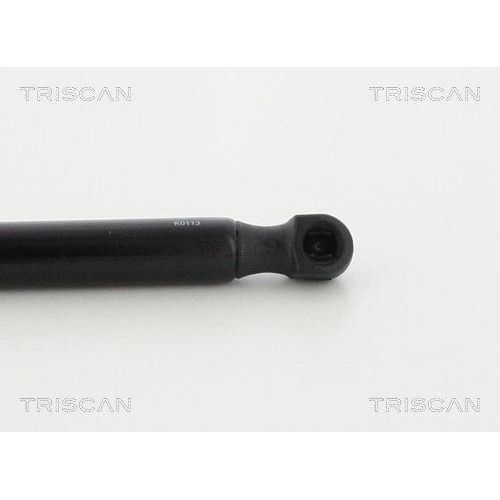 TRISCAN Gasfeder, Motorhaube 8710 38106
