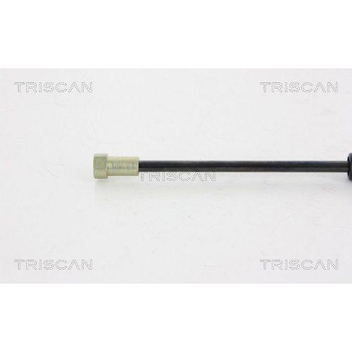 TRISCAN Gasfeder, Koffer-/Laderaum 8710 38226